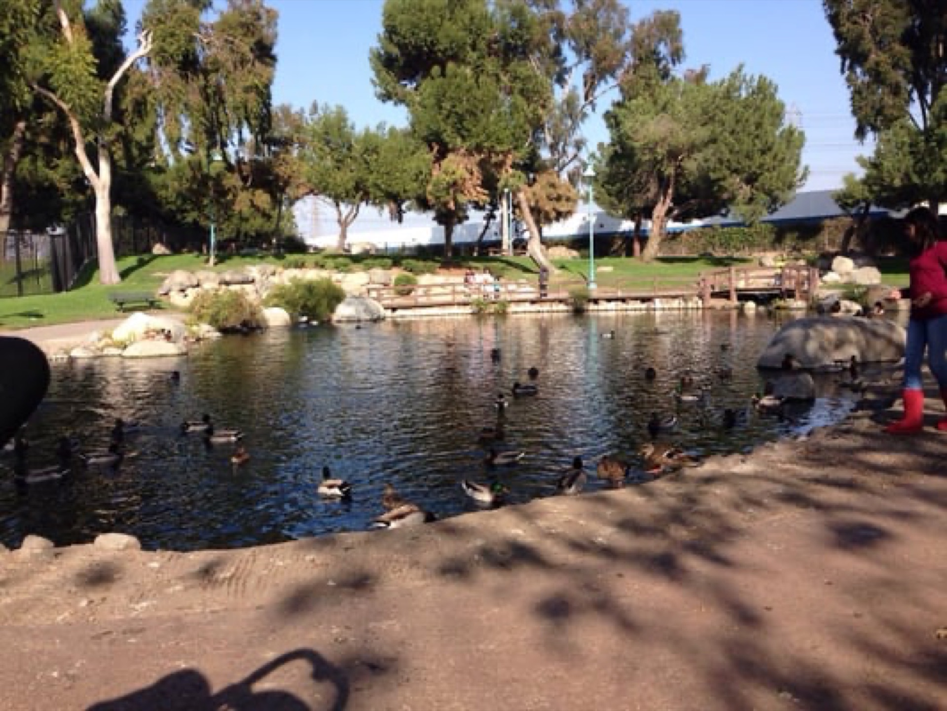 Spane Park Facility Improvements