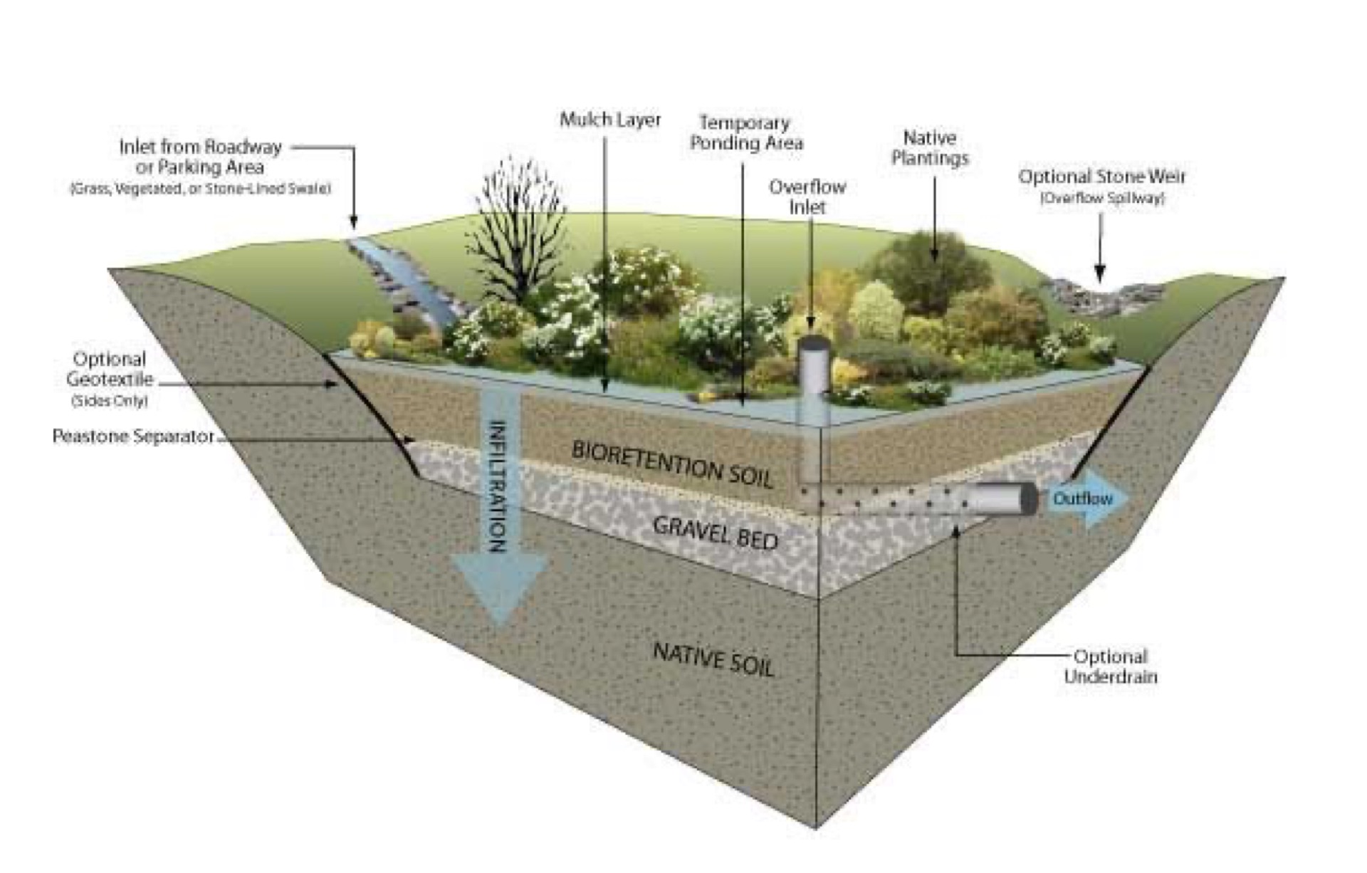 Stormwater Bio-Retention Improvement